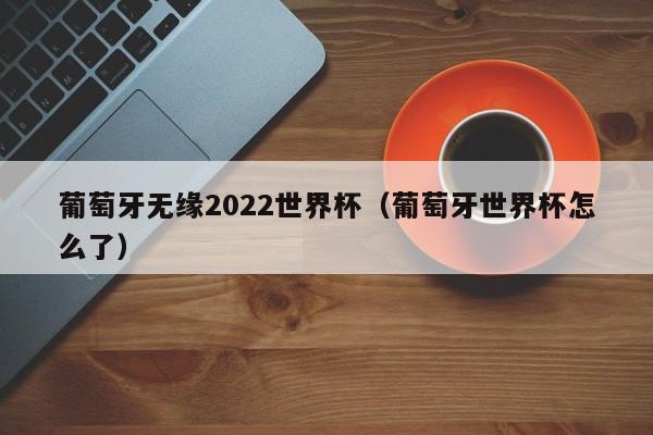 葡萄牙无缘2022世界杯（葡萄牙世界杯怎么了）