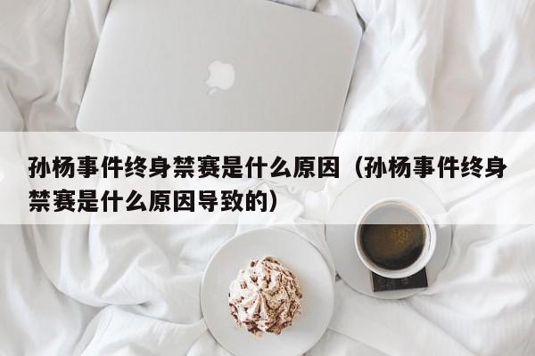 孙杨事件终身禁赛是什么原因（孙杨事件终身禁赛是什么原因导致的）