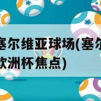 欧洲杯塞尔维亚球场(塞尔维亚球场成为欧洲杯焦点)