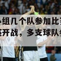 欧洲杯小组几个队参加比赛(欧洲杯小组赛开战，多支球队参加比赛)