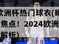 2024欧洲杯热门球衣(瞬间成为时尚焦点！2024欧洲杯最热门球衣解析)